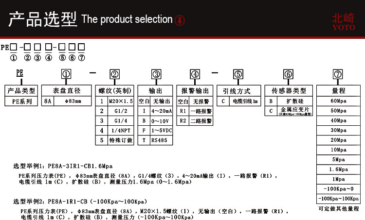 PE8A工業(yè)型數(shù)顯壓力表_04